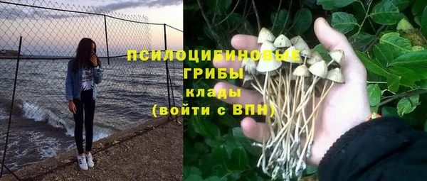 a pvp Армянск