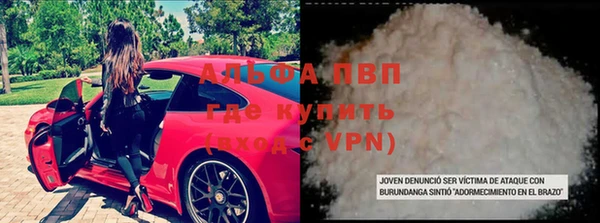 спиды Аркадак