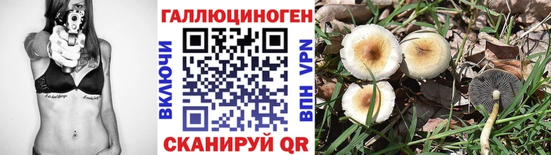 купить закладку  Нягань  Галлюциногенные грибы мицелий 